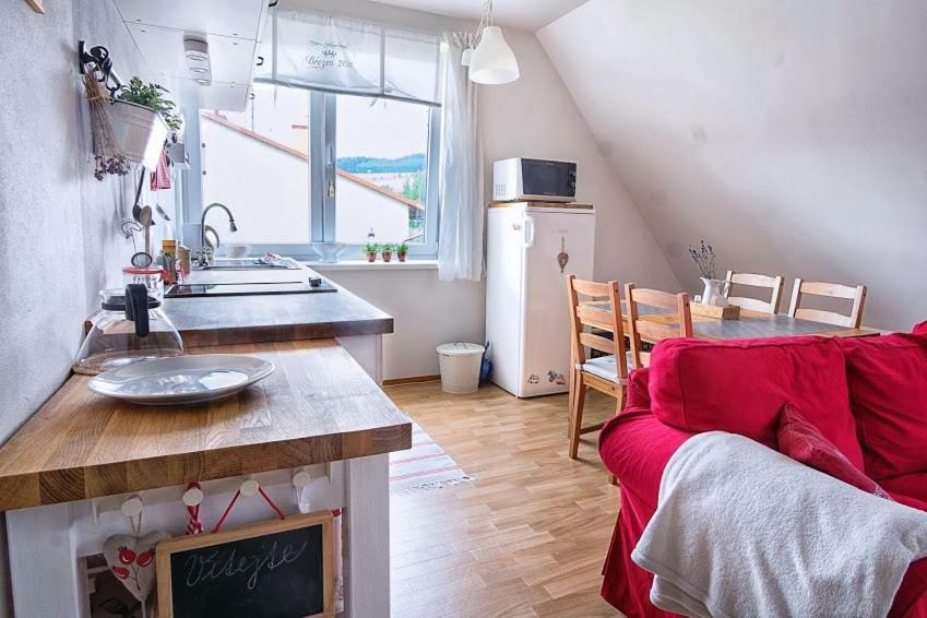 Apartmán Deštná čp.1 Destne v Orlickych horach Kültér fotó